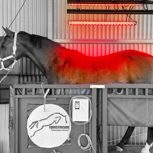 Equine Therapy Products - Therabay Red/Infra Red